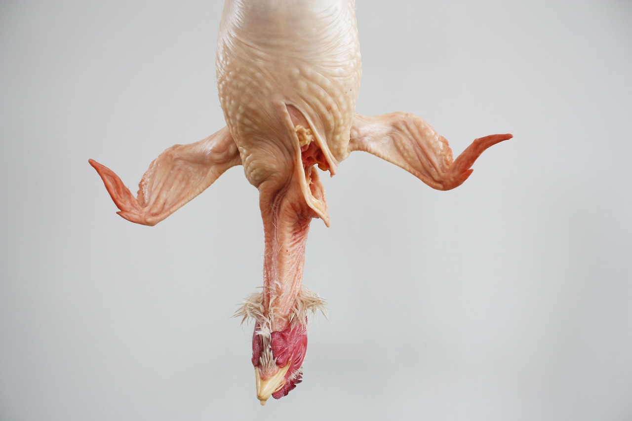 Detalle de "Still Life".