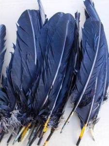 Plumas 01