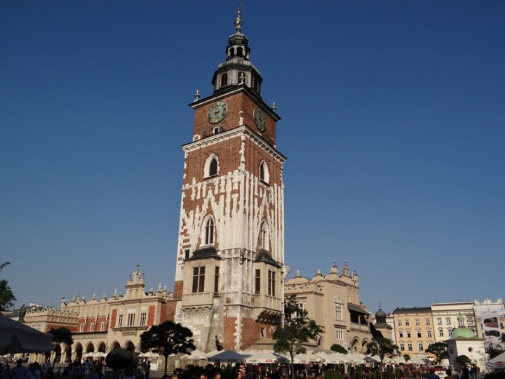 Cracovia 24