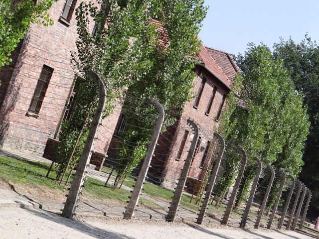 Auschwitz 03
