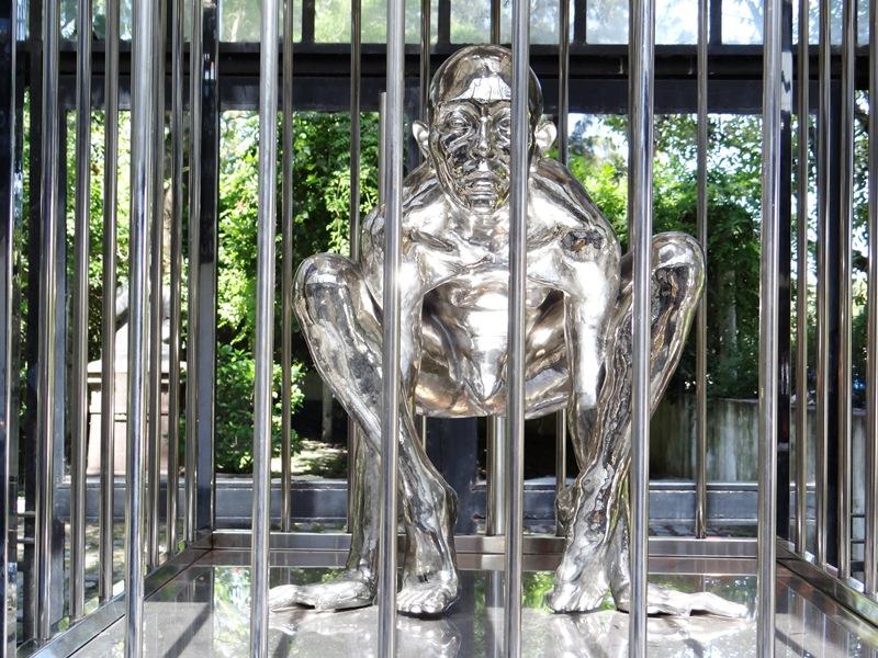 Contorsionista en jaula 01 DSC08287