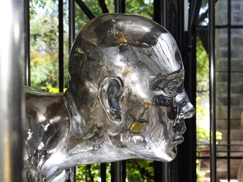 Contorsionista en jaula 03 DSC08305