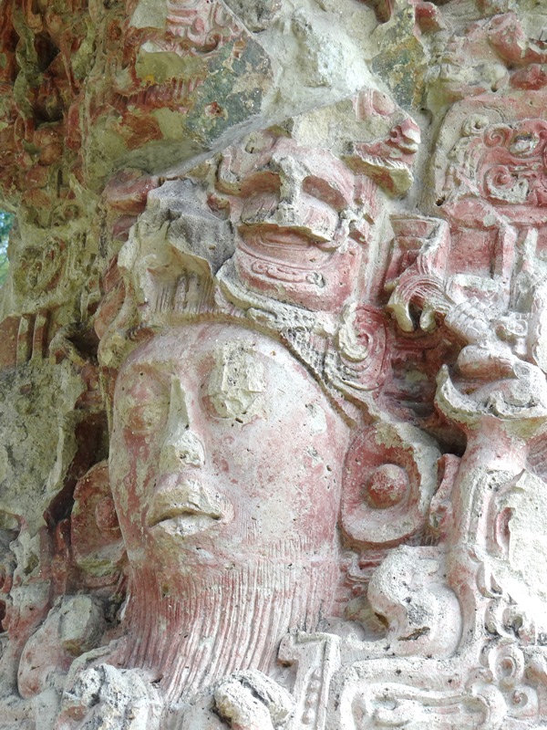 018-dsc04954-estela-c-730-d-c