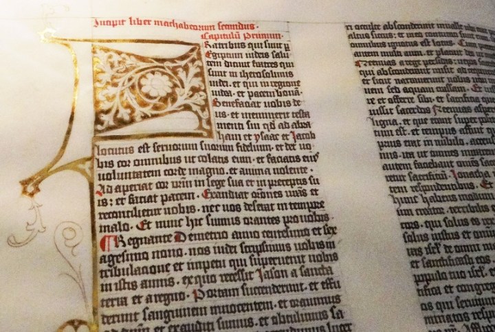 Biblia Gigante de Mainz 001 DSC02324