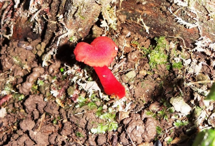 Panacam 007 DSC05360