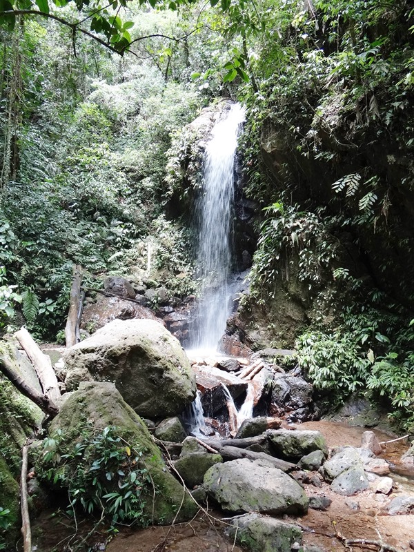 Panacam 017 DSC05444