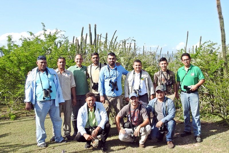 Amazilia luciae por Romel Romero 03