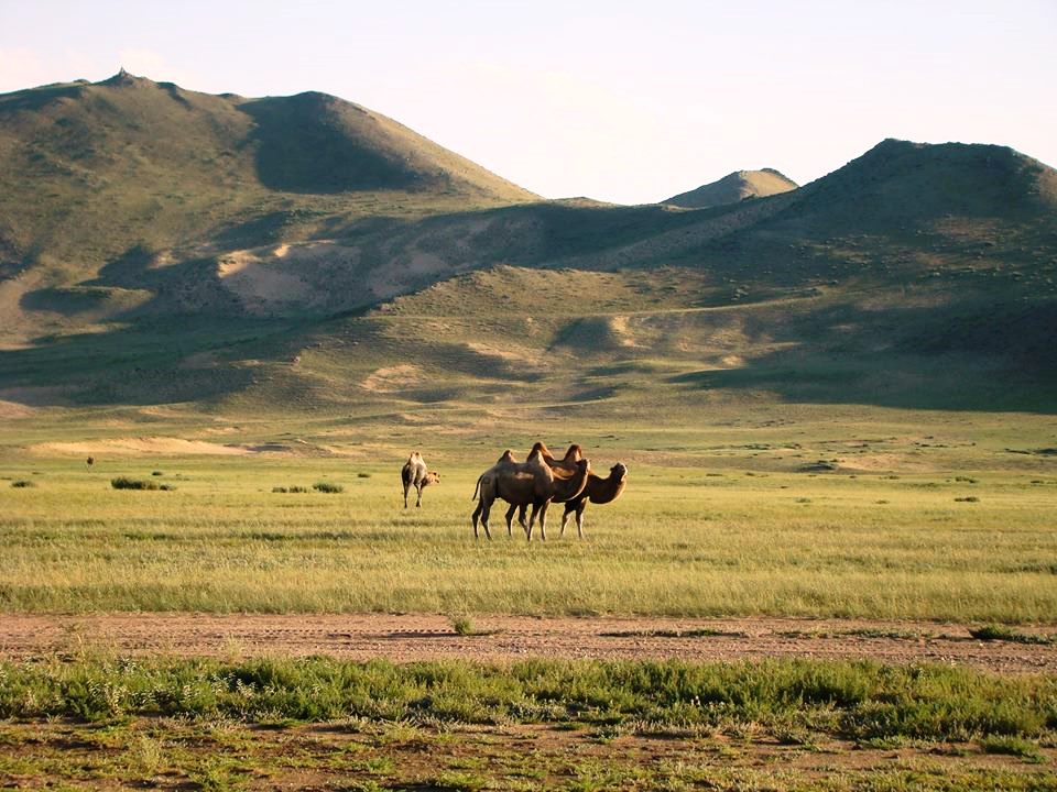 Mongolia 02