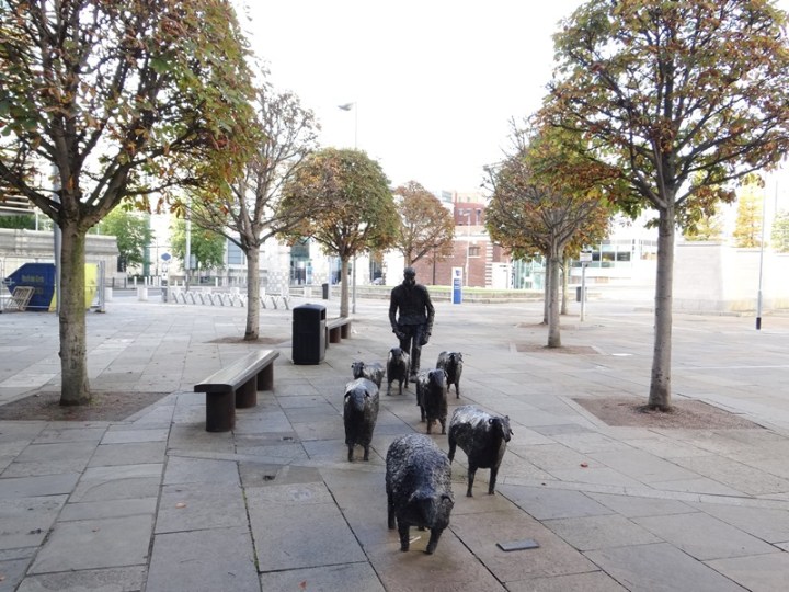 Belfast 37 DSC01645.JPG