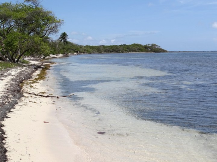 Utila 02 DSC04970.JPG