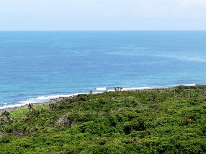 Utila 32 DSC05026.JPG