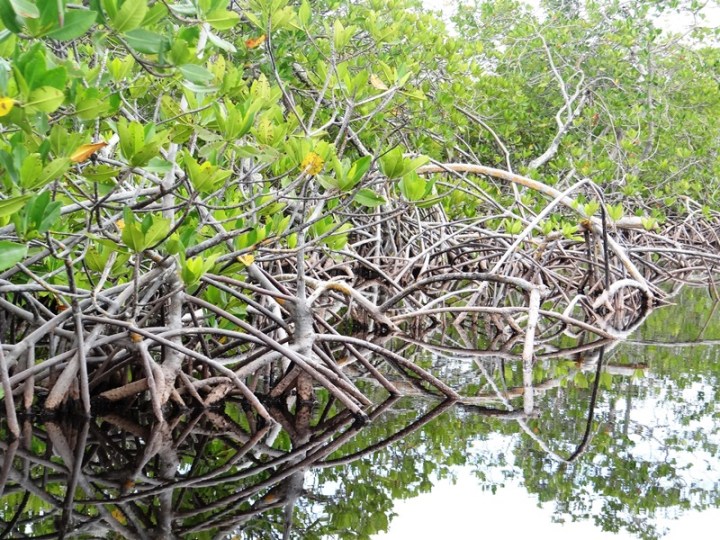 Utla 20 DSC04882.JPG