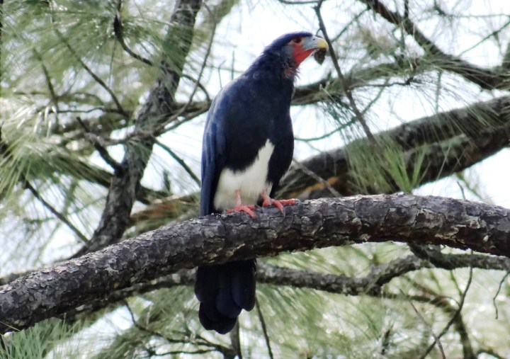 Copy of DSC05687.JPG