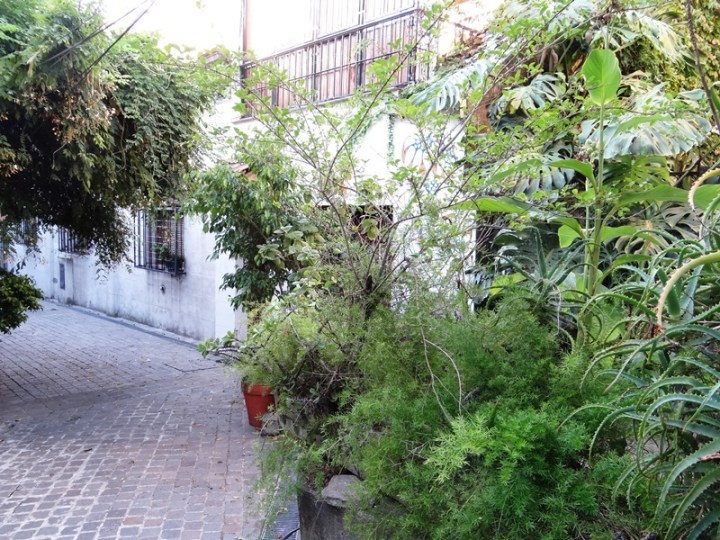 Roberto Arlt 08 DSC01336.JPG